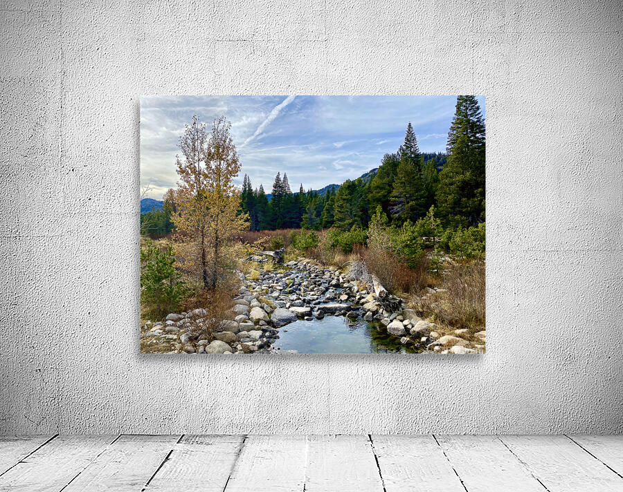 Tahoe Forest Wall Preview