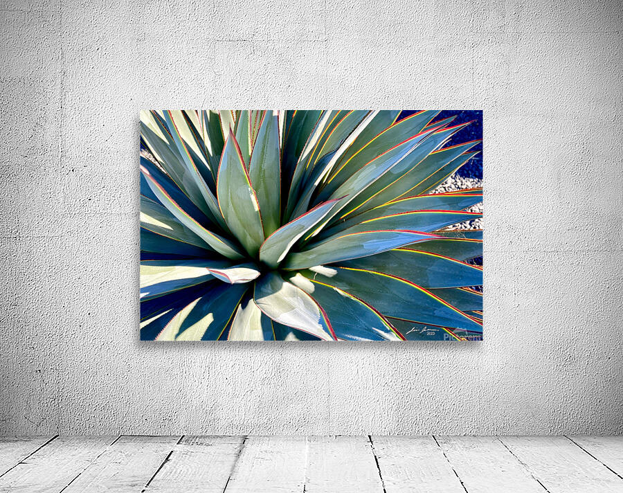 Yucca Explosion Wall Preview
