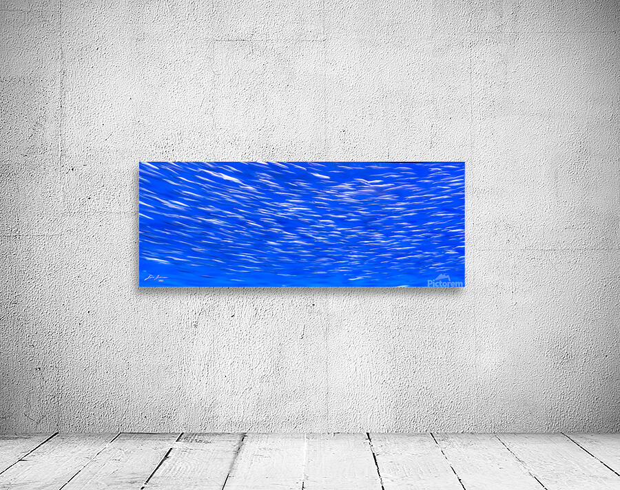 Humpback Dream Wall Preview