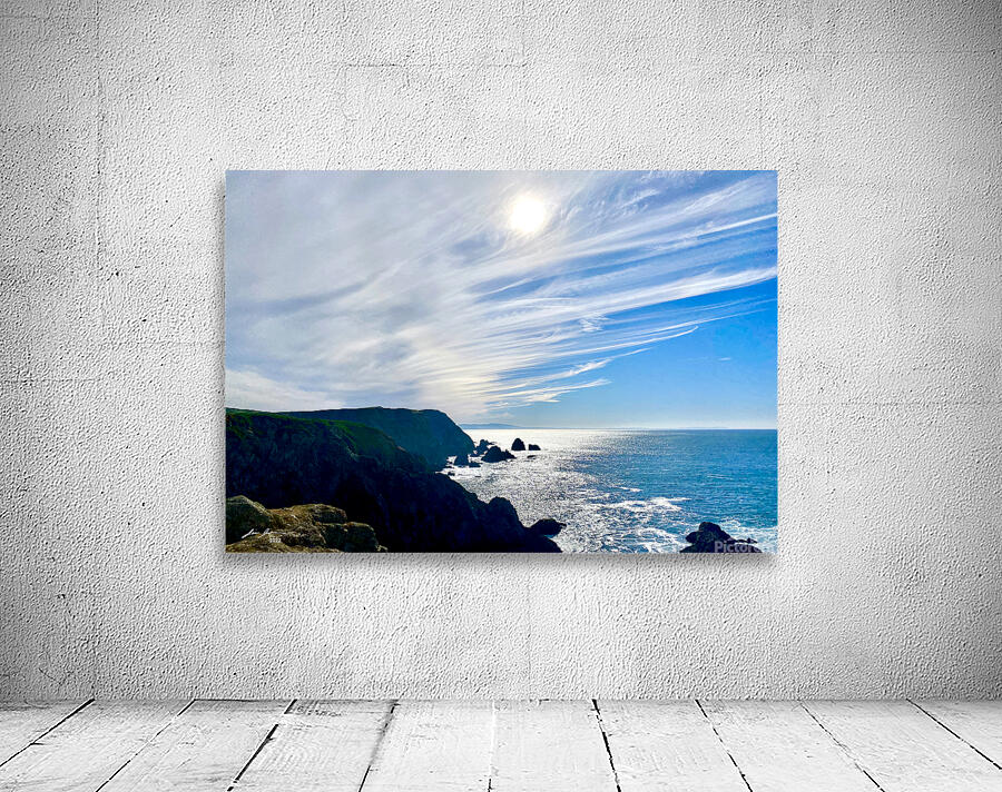 Bodega Head Wall Preview