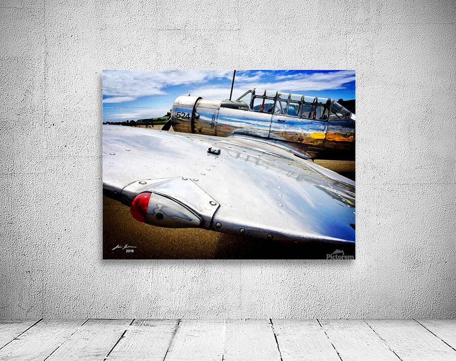WWII Dive Bomber Wall Preview