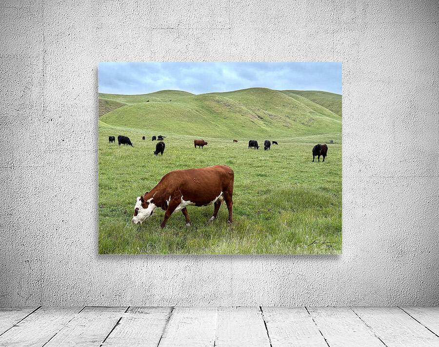Happy Cows Wall Preview