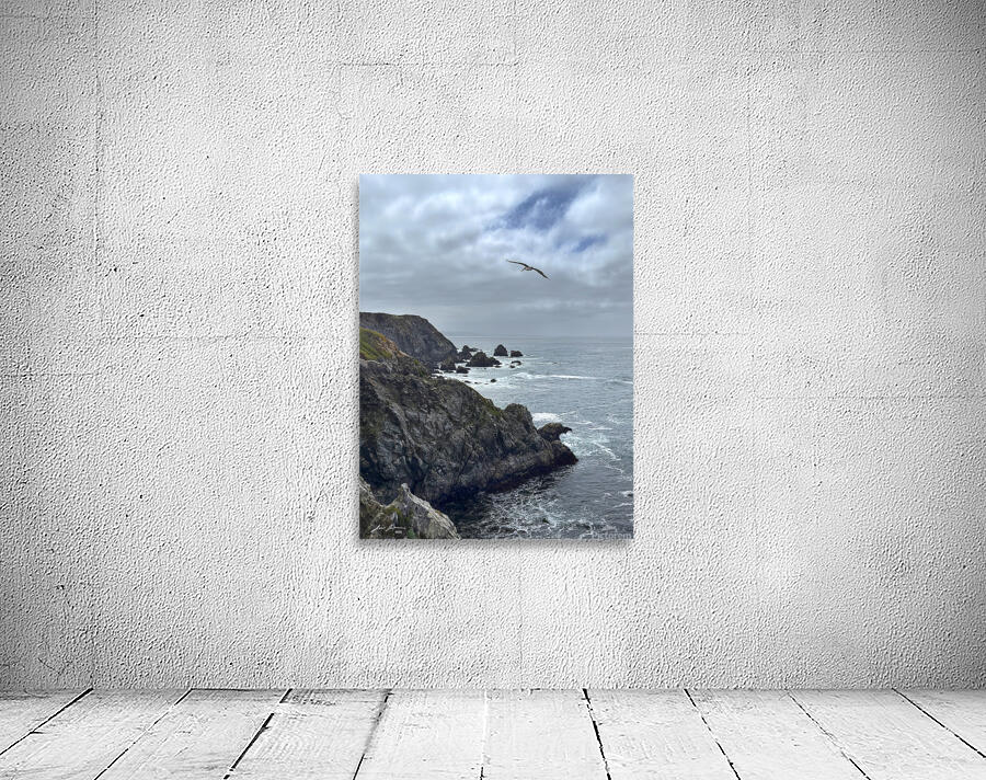 bodega Head Pelican Wall Preview