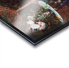 ardII 33 Acrylic print