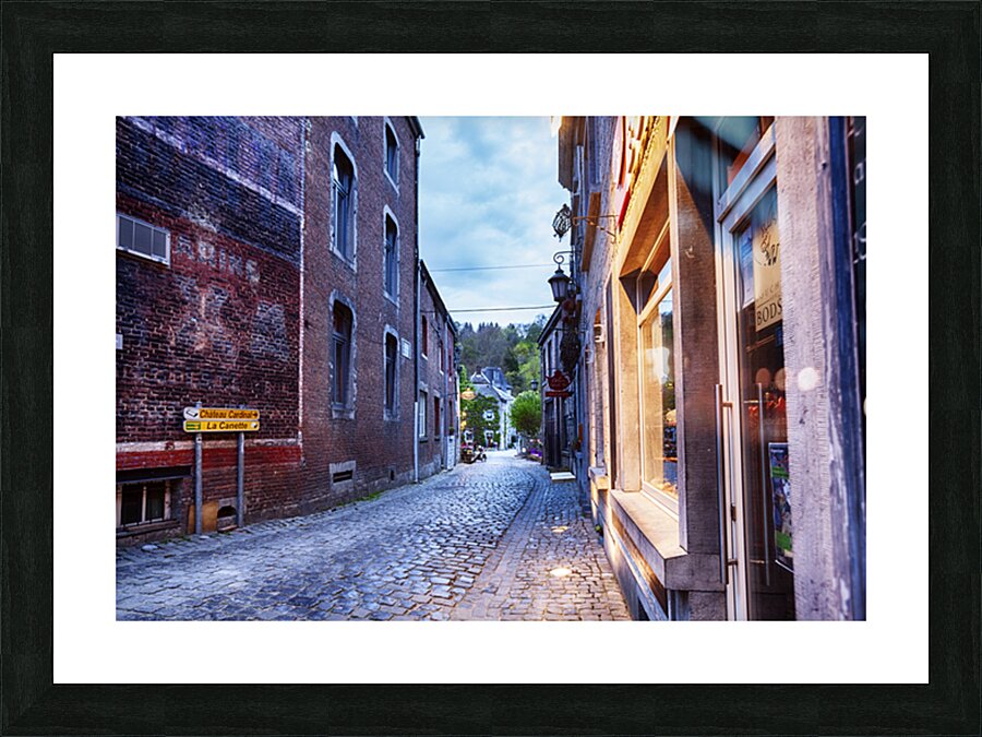 ar10 Picture Frame print