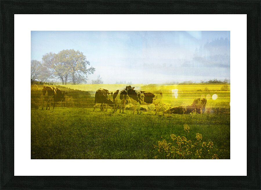 Belgian spring landscape Picture Frame print