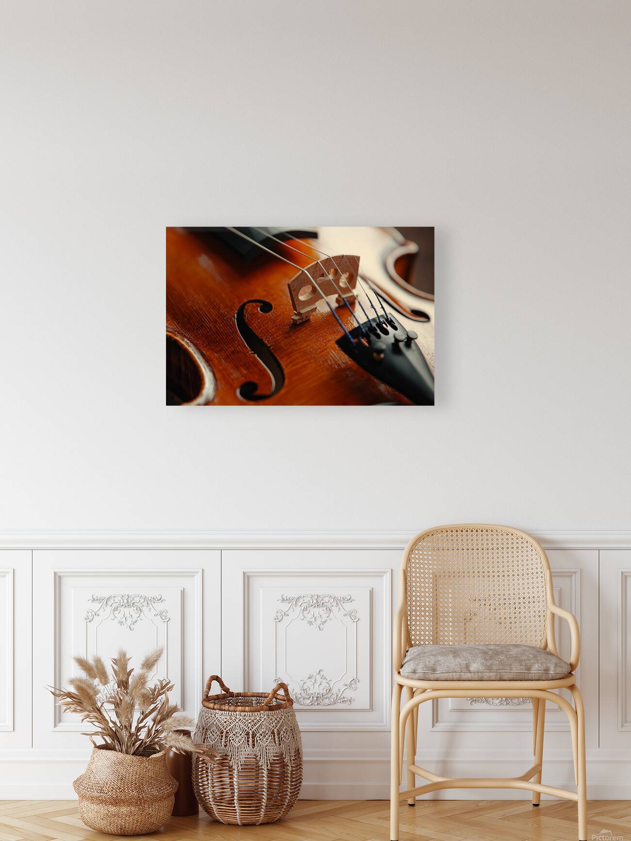Close-up with Violin Reproduction