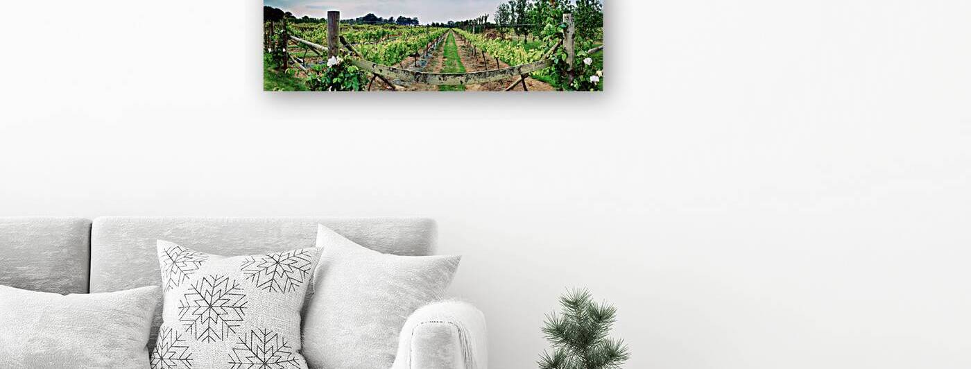 winery panorama on Jersey Island by Ariadna-de-Raadt