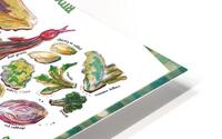 Vegetable Encyclopedia  HD Metal print