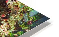 ardII 33 HD Metal print