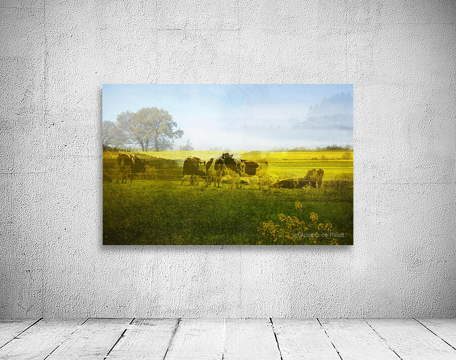Belgian spring landscape Wall Preview