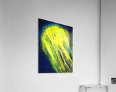 Canopus Acrylic Print