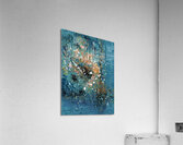 Nova Acrylic Print