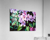 Rhodies Acrylic Print