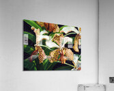 Tachannon Acrylic Print