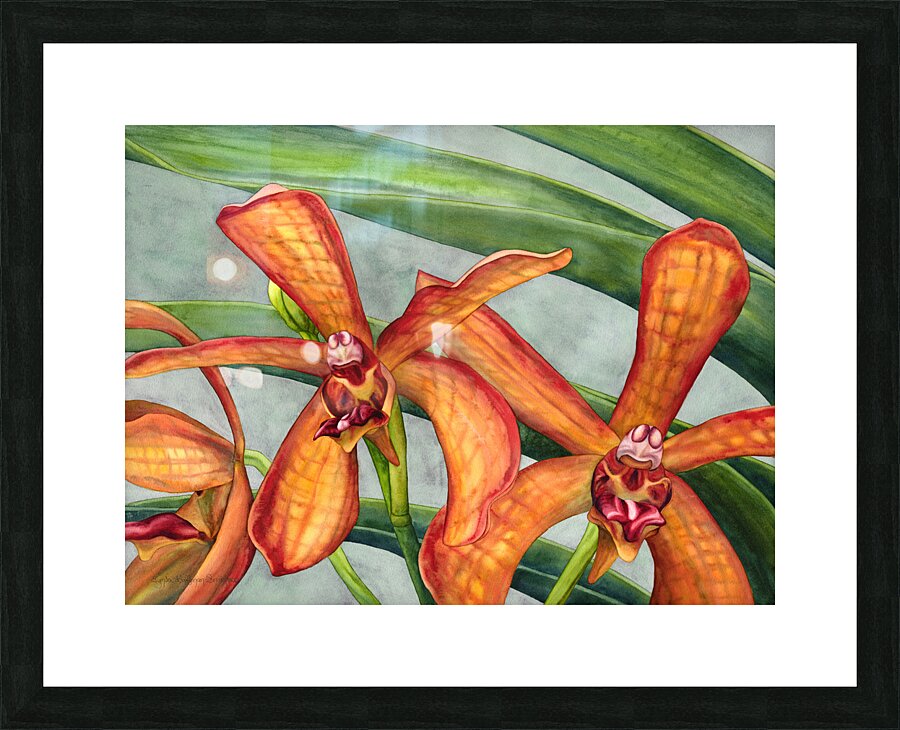  Fine Art print