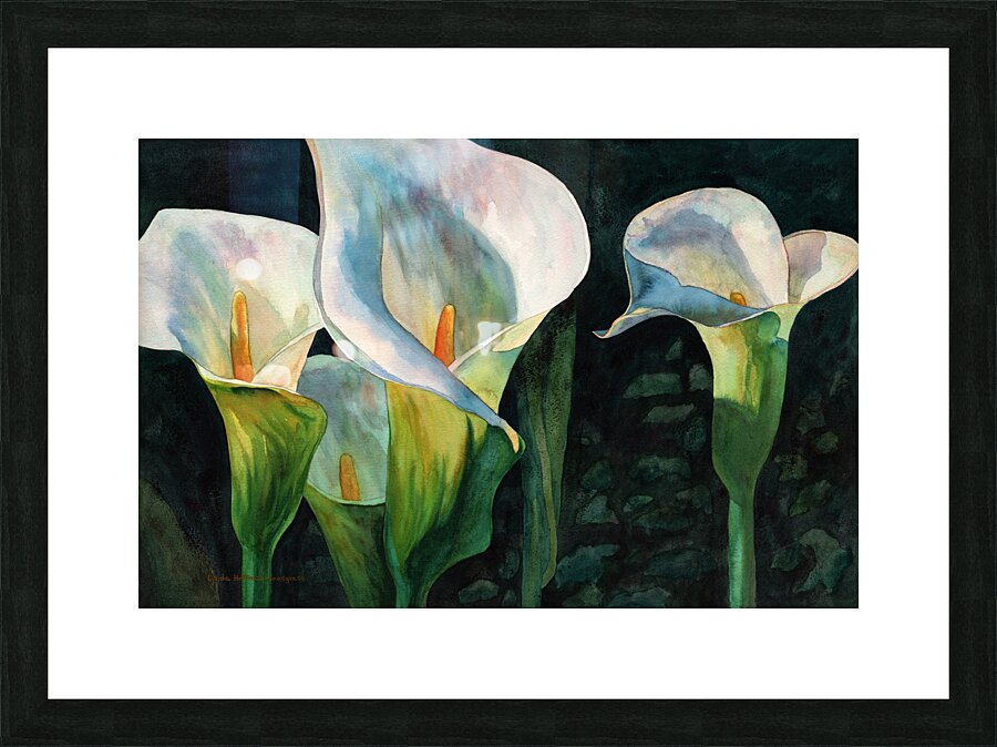 Mystique Picture Frame print