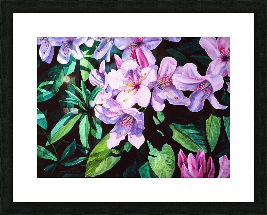 Rhodies Picture Frame print
