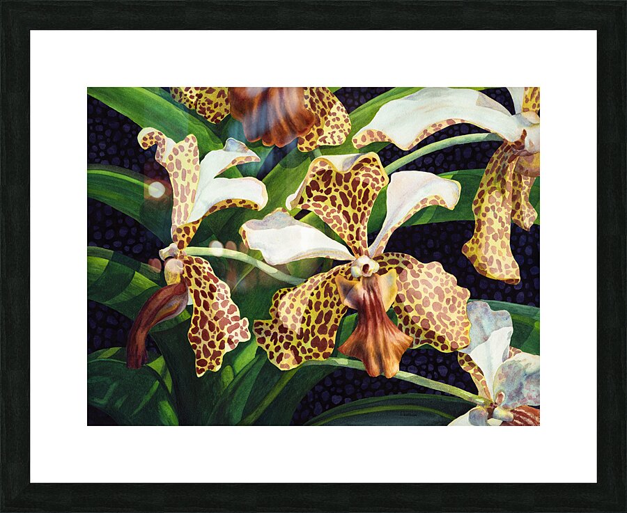 Tachannon Picture Frame print