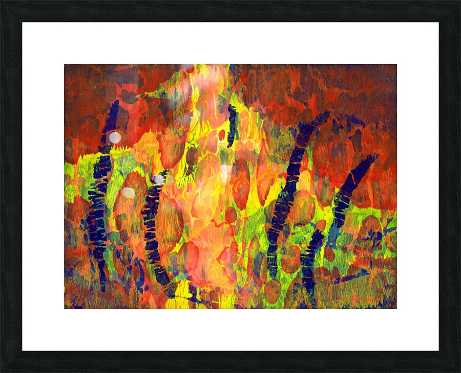  Fine Art print
