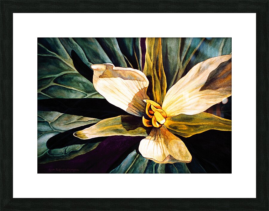 Trillium Picture Frame print