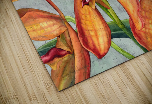 Gayety Lynda Hoffman Snodgrass puzzle