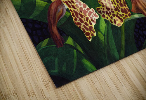 Tachannon Lynda Hoffman Snodgrass puzzle