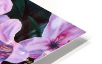 Rhodies HD Metal print