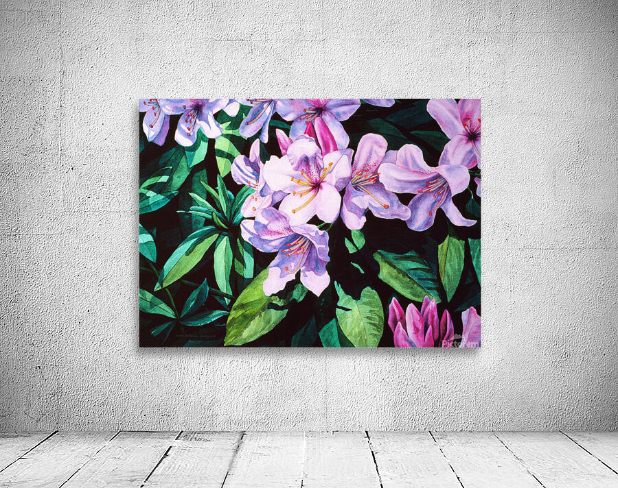 Rhodies Wall Preview