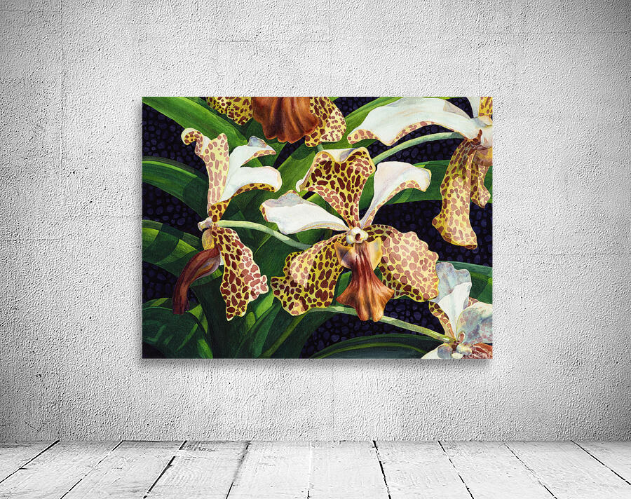 Tachannon Wall Preview