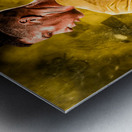 cristiano ronaldo Metal print