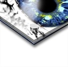 Eye Art 1 Acrylic print