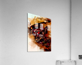 Samanthari Acrylic Print