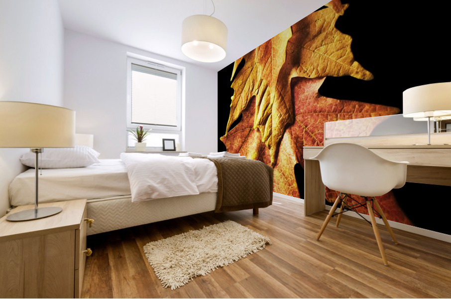 Fall Maple Leaves 1 Mural print
