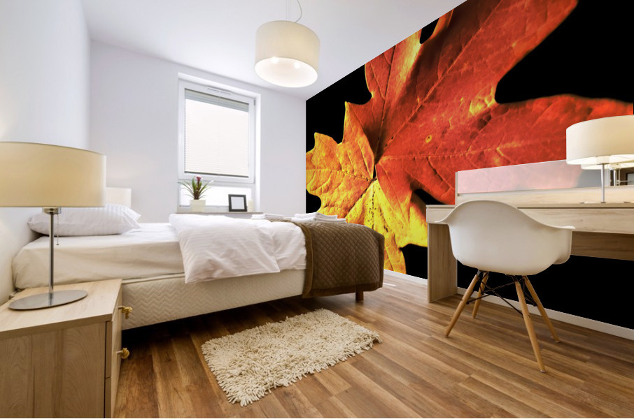 Fall Maple Leaves 3 Mural print