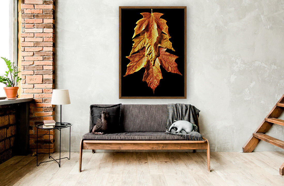 Fall Maple Leaves 1 Reproduction