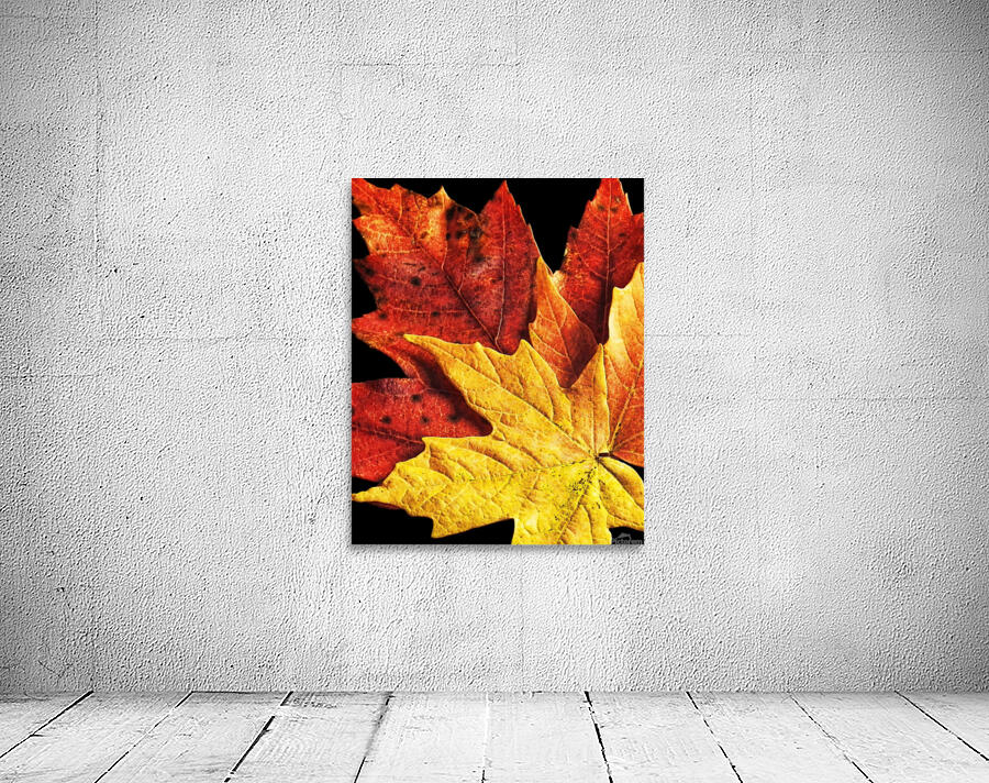 Fall Maple Leaves 2 Wall Preview