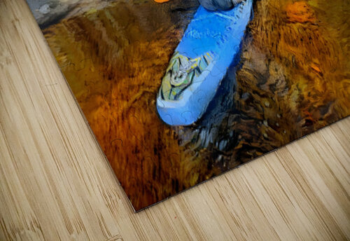 River Igo puzzle