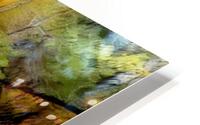 River HD Metal print