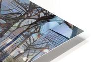 Urban Trees HD Metal print