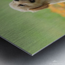 Inclave  Casino List Metal print