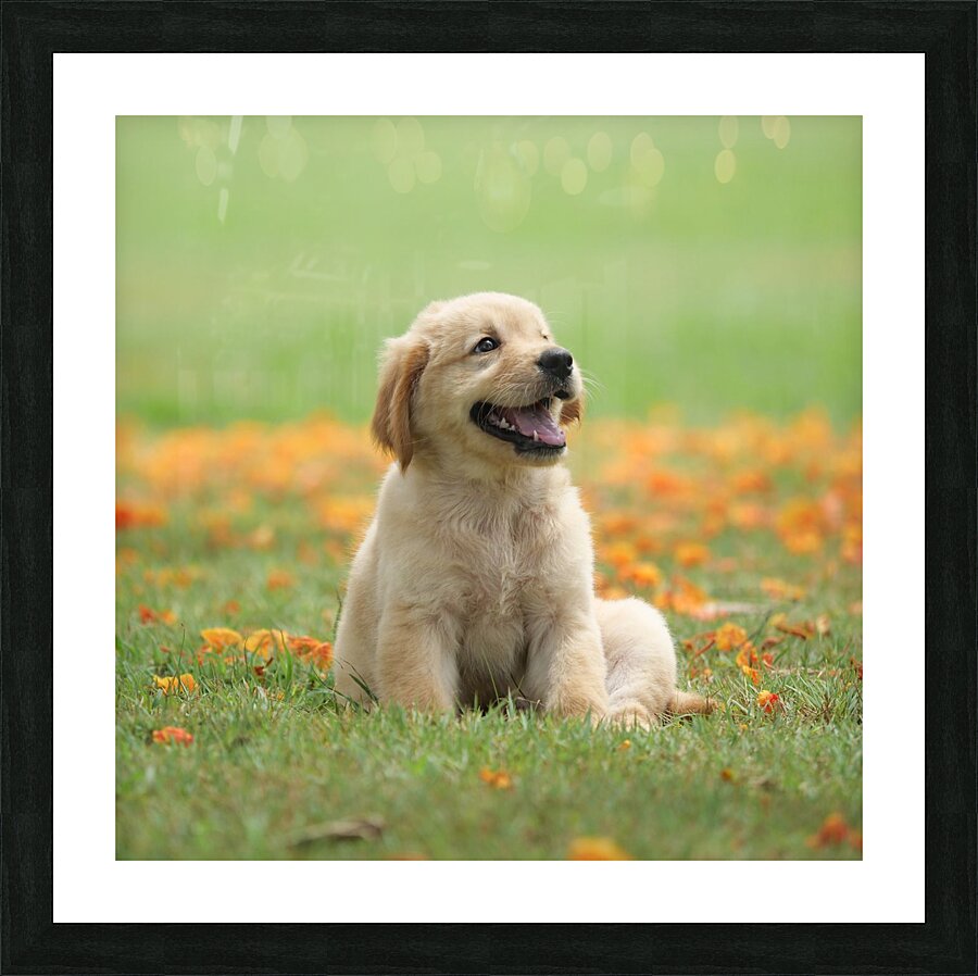 Inclave  Casino List Picture Frame print