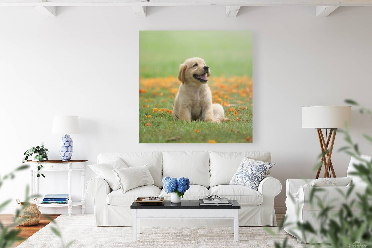 Inclave  Casino List Reproduction