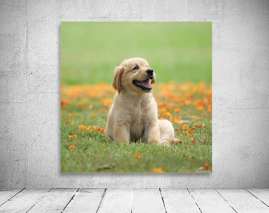 Inclave  Casino List Wall Preview