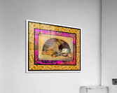 Cat Dreaming Acrylic Print