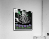 From My Garden Acrylic Print