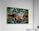 Funky Explorer  Acrylic Print