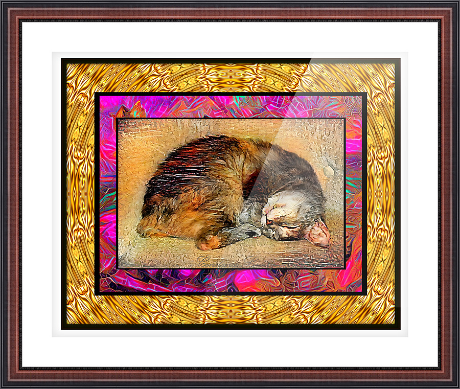 Cat Dreaming Picture Frame print
