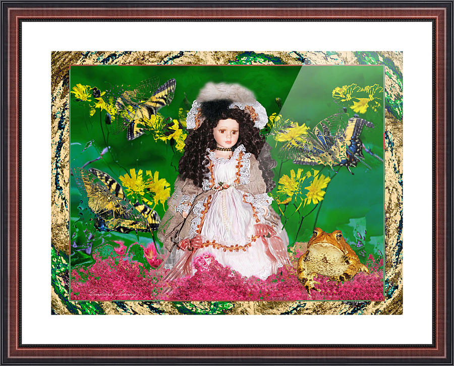 Lady And The Toad Picture Frame print