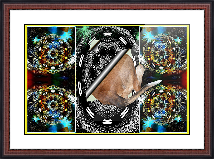Funky Explorer  Picture Frame print